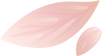 Decoração